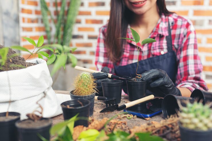 7 Easy Garden Makeover Tips To Help Sell Your Property