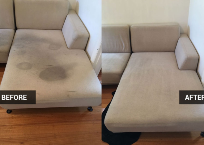 Unlocking the Secrets of Professional Couch Cleaners: A Deep Dive into Expert Upholstery Care